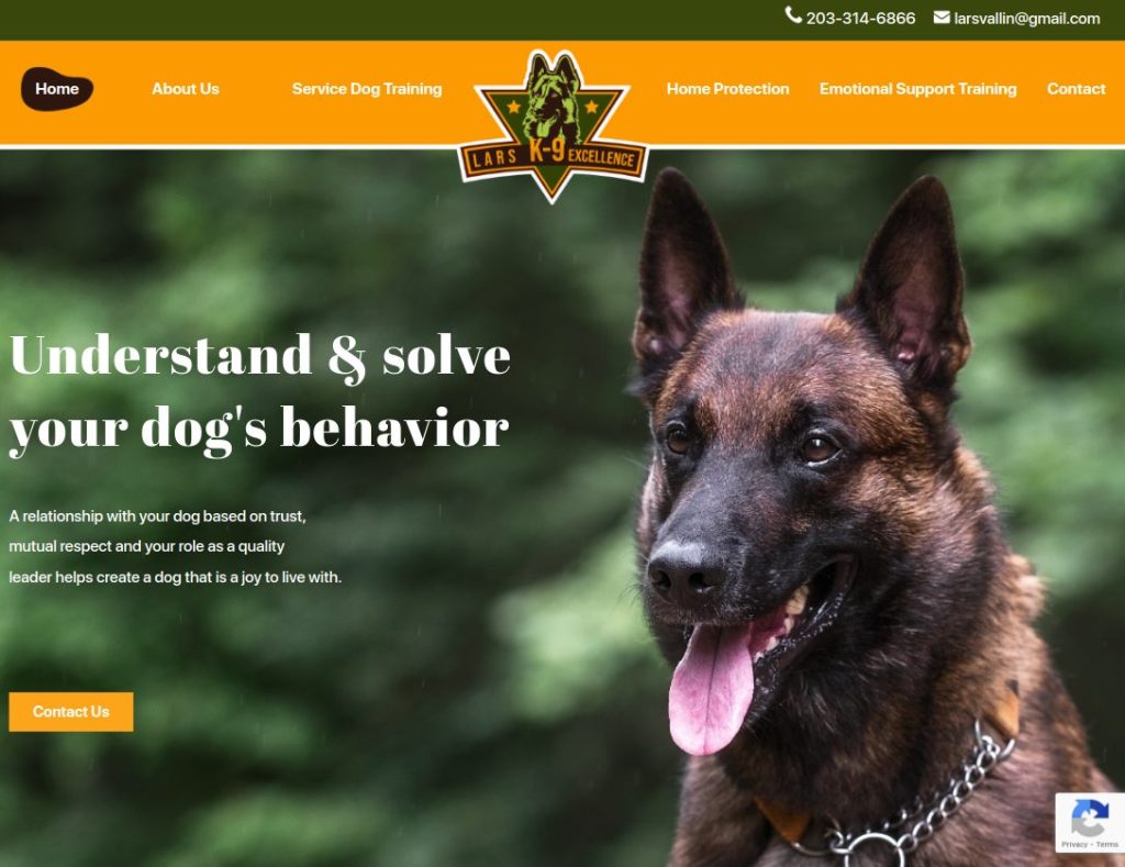 Local Dog Training Website Design